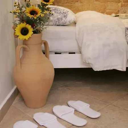 Saint Nicholas Plaza בית הארחה 3*