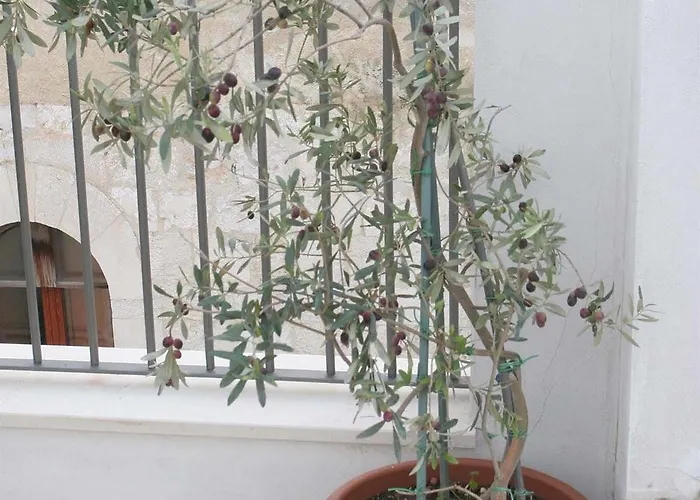 Saint Nicholas Plaza Vendégház 3*