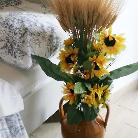 Pensionat Saint Nicholas Plaza